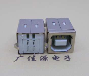 河池USB BF180度母座 打印机接口 立式直插带赛