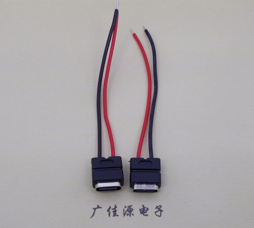 河池type c2p防水母座焊线式带线注塑成型带接线端子/不带接线端子充电连接器